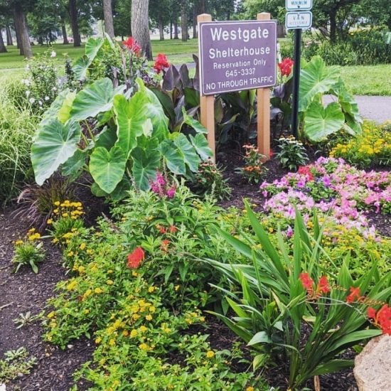 flowerbed